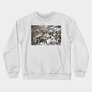 Snowfall Crewneck Sweatshirt